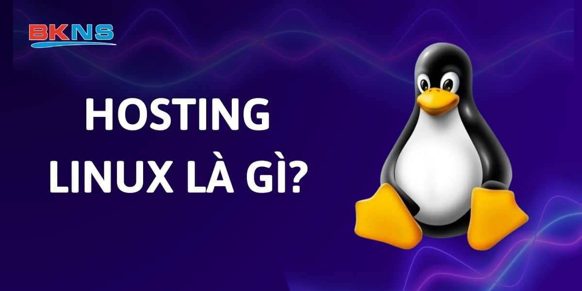 Hosting Linux là gì