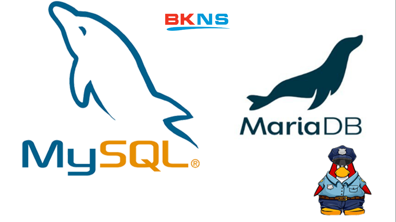 Cách Import Export database trong MySQL hoặc MariaDB bằng terminal BKNS