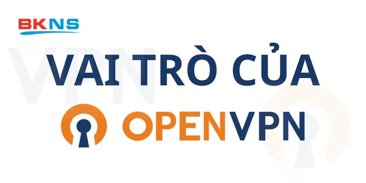 Vai trò của OpenVPN