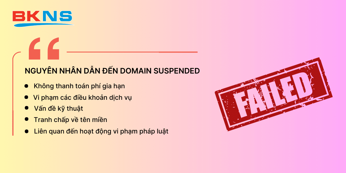 Nguyên nhân dẫn đến Domain Suspended là gì?