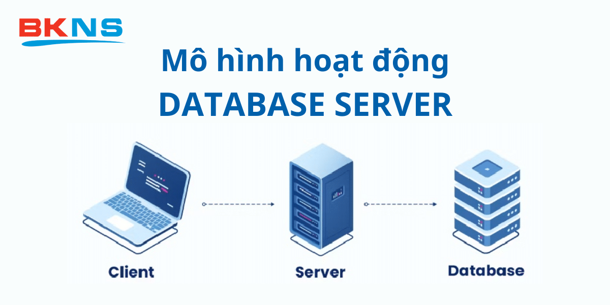 Mô hình hoạt động của Database Server