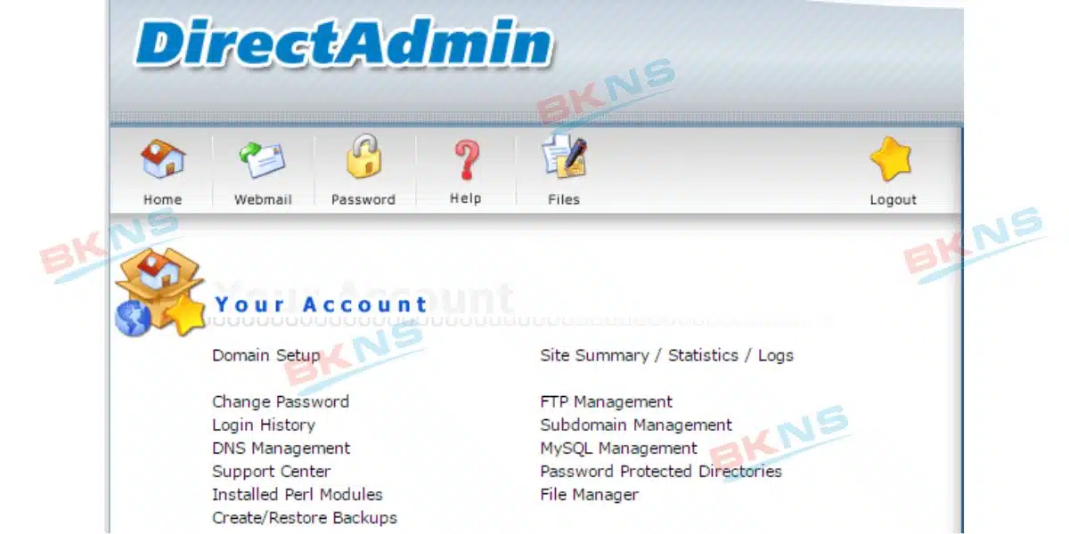 Giao diện DirectAdmin