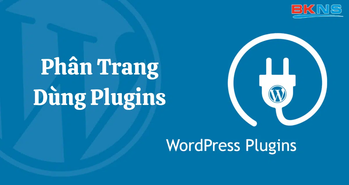 phân trang trong WordPress 