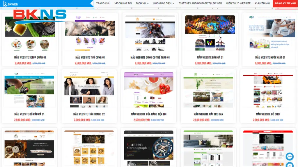 BKNS - Địa chỉ thiết kế website uy tín, chất lượng cao