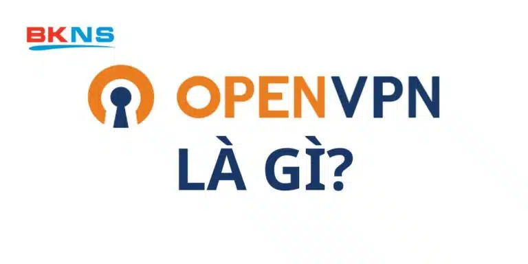 OpenVPN là gì