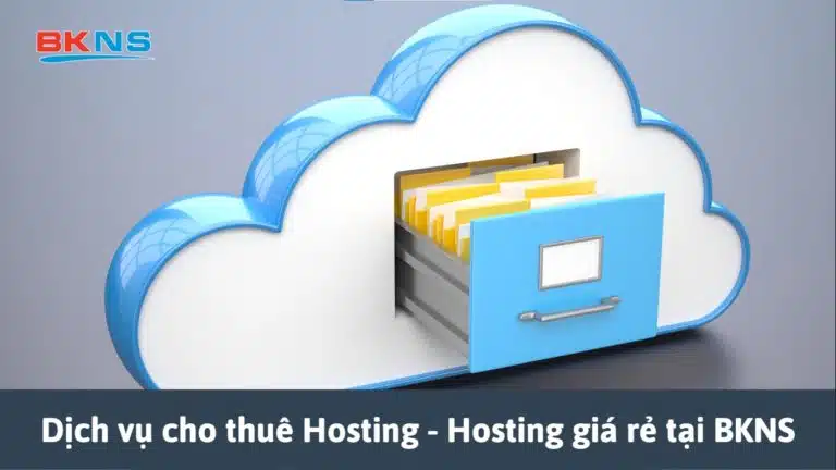 Dịch vụ cho thuê Hosting – Hosting giá rẻ tại BKNS