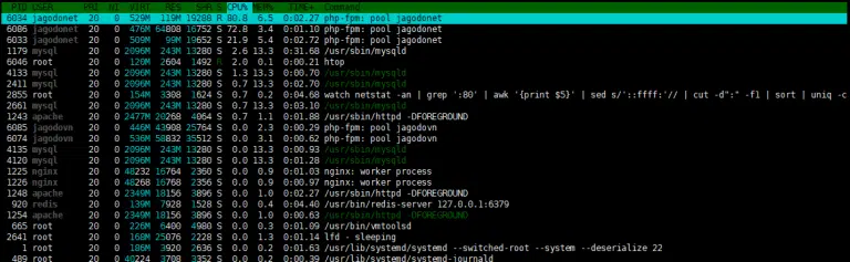 Sử dụng htop service theo dõi System Processes trên Linux Server