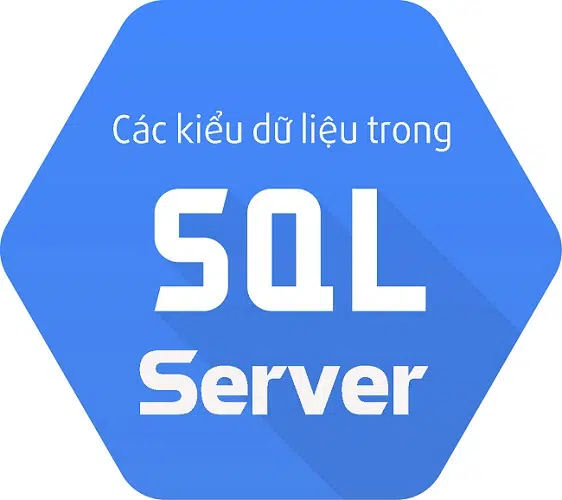 Các Kiểu Dữ Liệu Trong SQL Server: Bạn Có Biết?