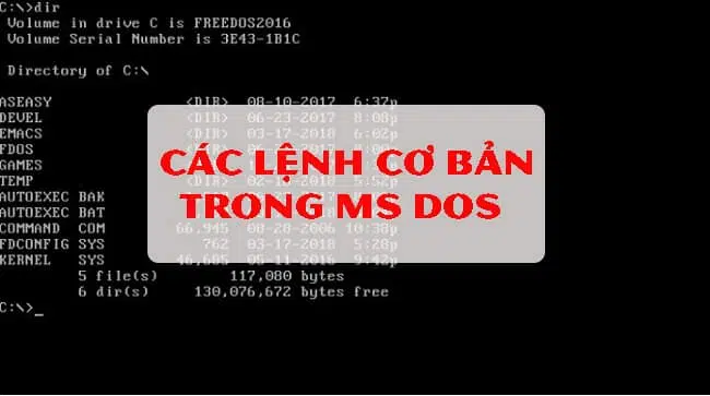 Các lệnh cơ bản trong Ms DOS: Bạn có biết!