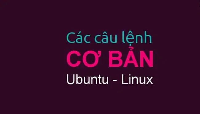 Những lệnh cơ bản trong Ubuntu