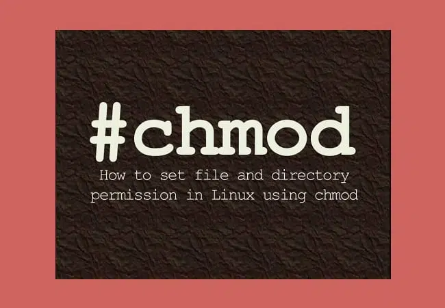 Chmod là gì? 