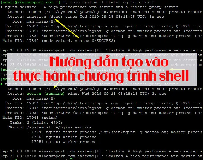 Tìm hiểu lập trình shell trong linux – Bạn đã biết?