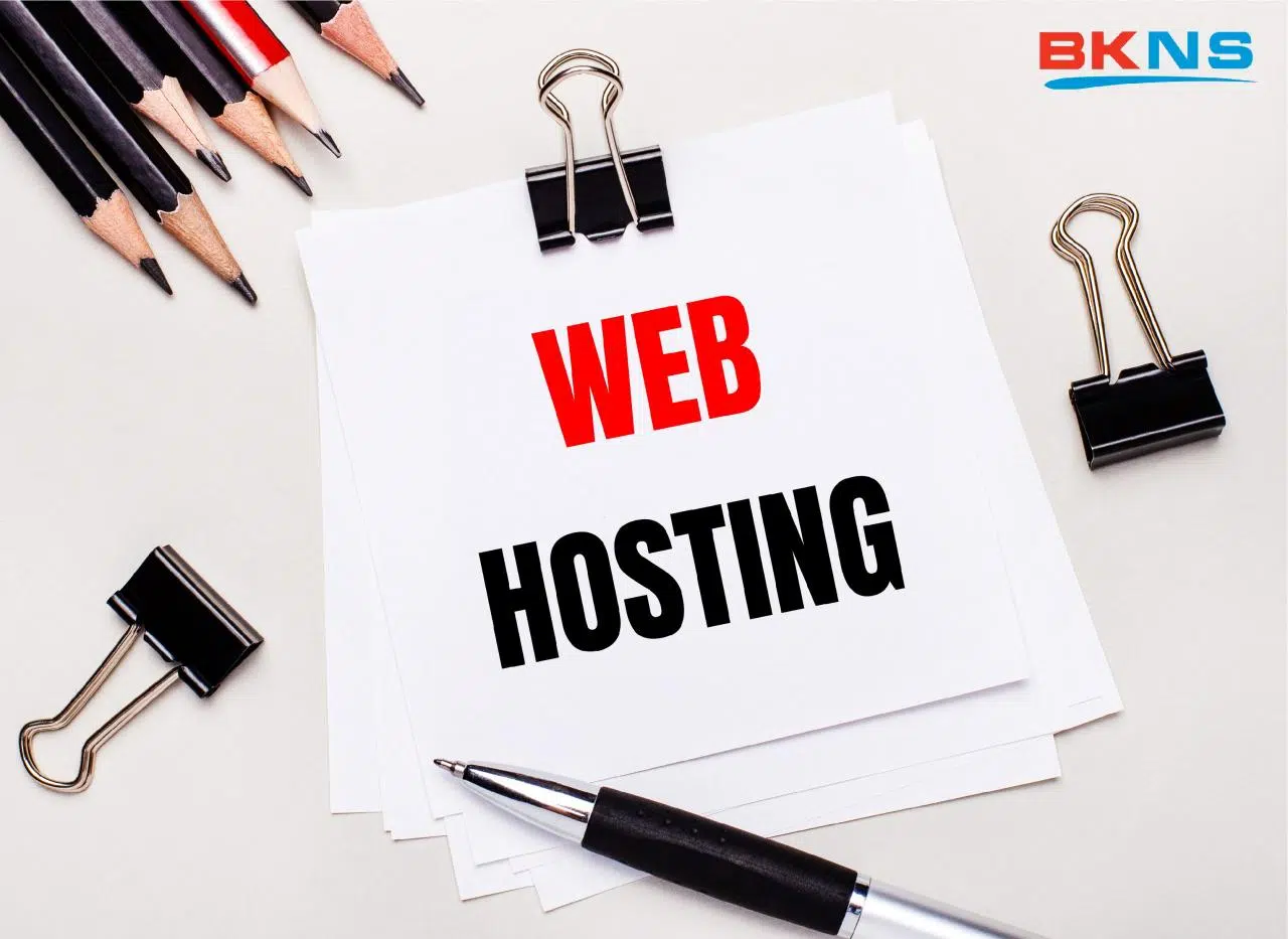 Hosting Seo BKNS