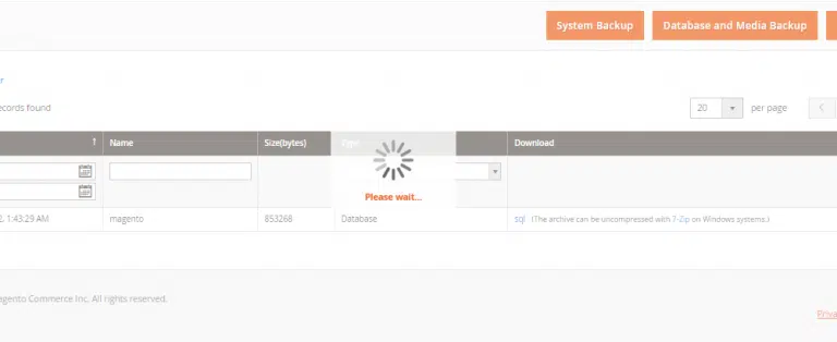 Hướng dẫn backup và restore trong magento