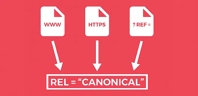 Những lưu ý khi sử dụng Canonical Url