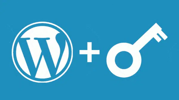 Những thuật ngữ liên quan đến wordpress