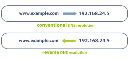 Reverse DNS là gì?