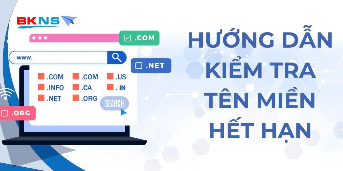 Hướng dẫn kiểm tra tên miền hết hạn