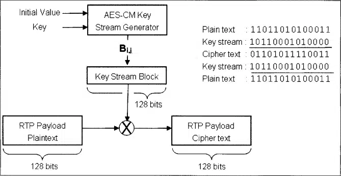 Synchronization Source Identifier