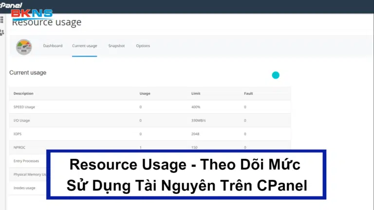 Resource Usage – Theo Dõi Mức Sử Dụng Tài Nguyên Trên CPanel