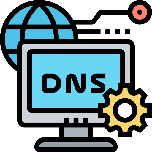 dns