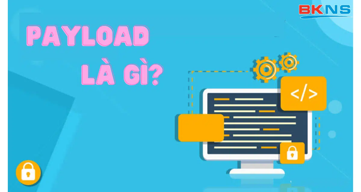 Payload là gì? Đặc điểm của Payload khi truyền dữ liệu