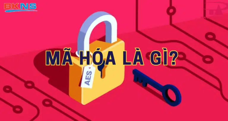 Mã hóa là gì? Lợi ích của việc mã hóa dữ liệu