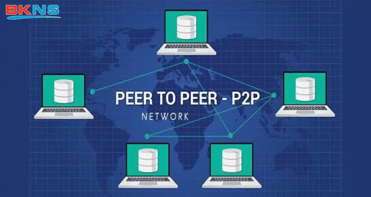 Mô hình mạng máy tính peer to peer