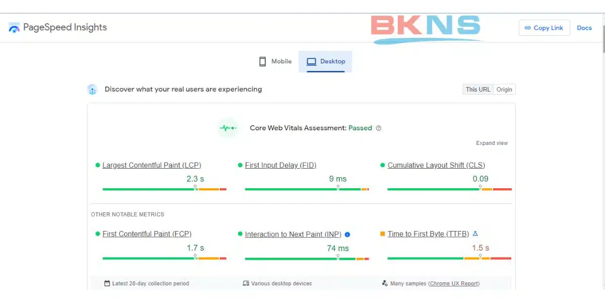 Kết quả kiểm tra tốc độ hosting bằng Google Page Insight