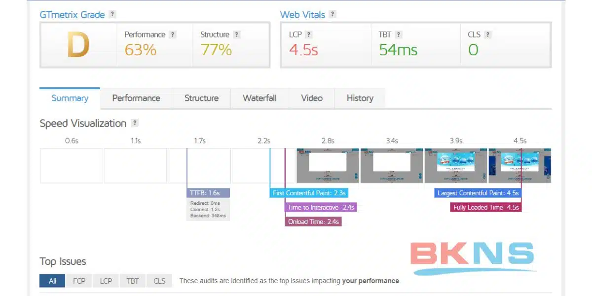 Kết quả trả về khi kiểm tra hosting bằng GTMetrix