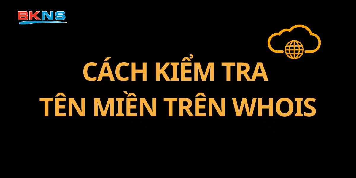 Cách kiểm tra tên miền trên Whois