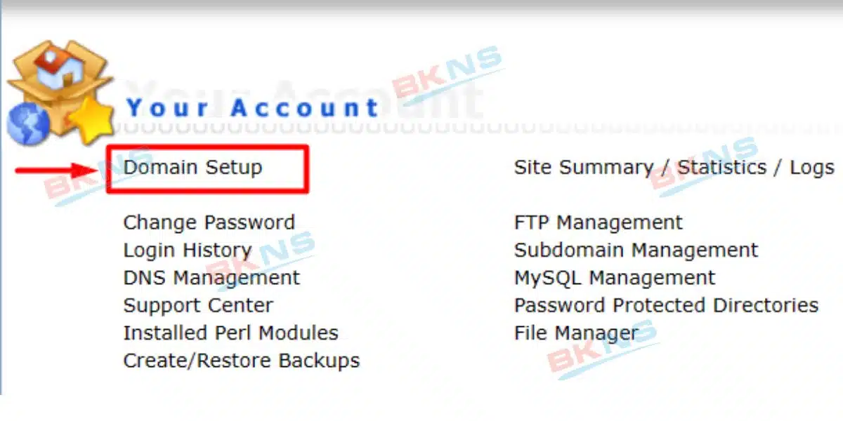 Nhấp vào Domain Setup