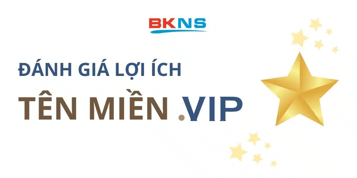 Đánh giá lợi ích tên miền .VIP