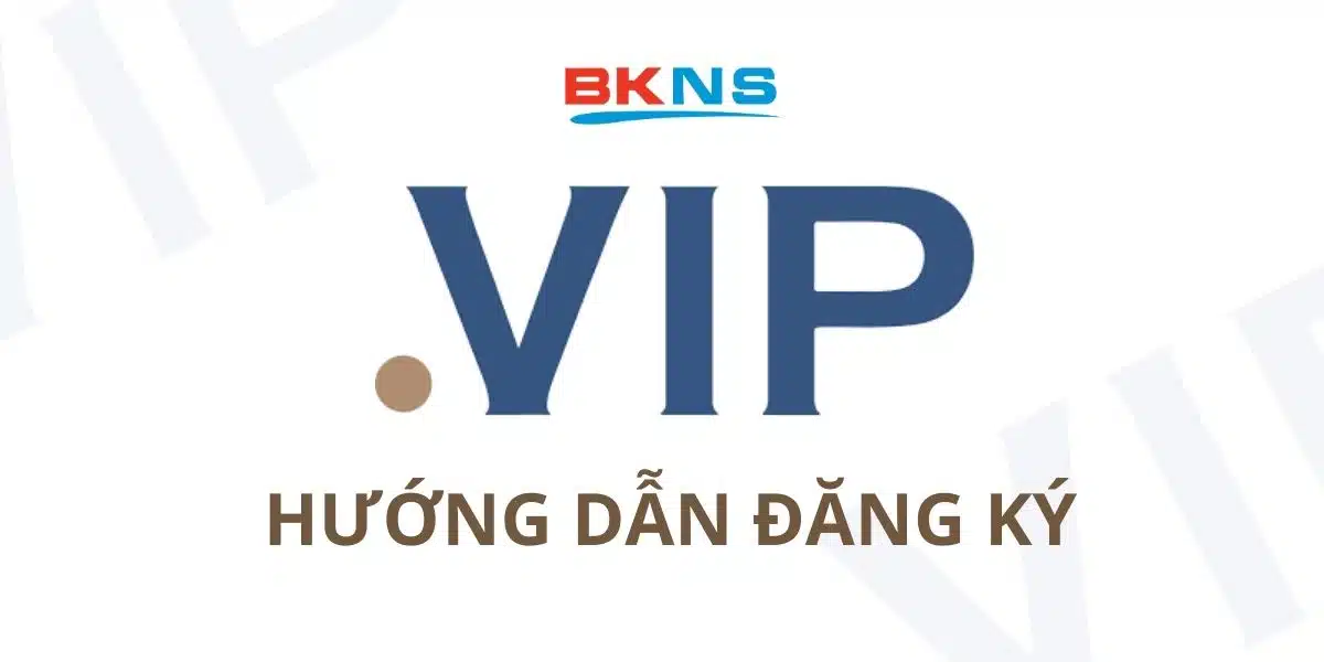 Hướng dẫn đăng ký tên miền .VIP