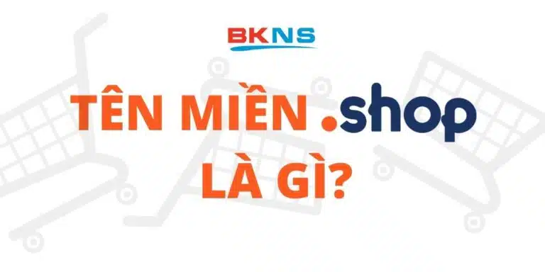 Tên Miền SHOP Là Gì? Tạo Dựng Thương Hiệu Trực Tuyến