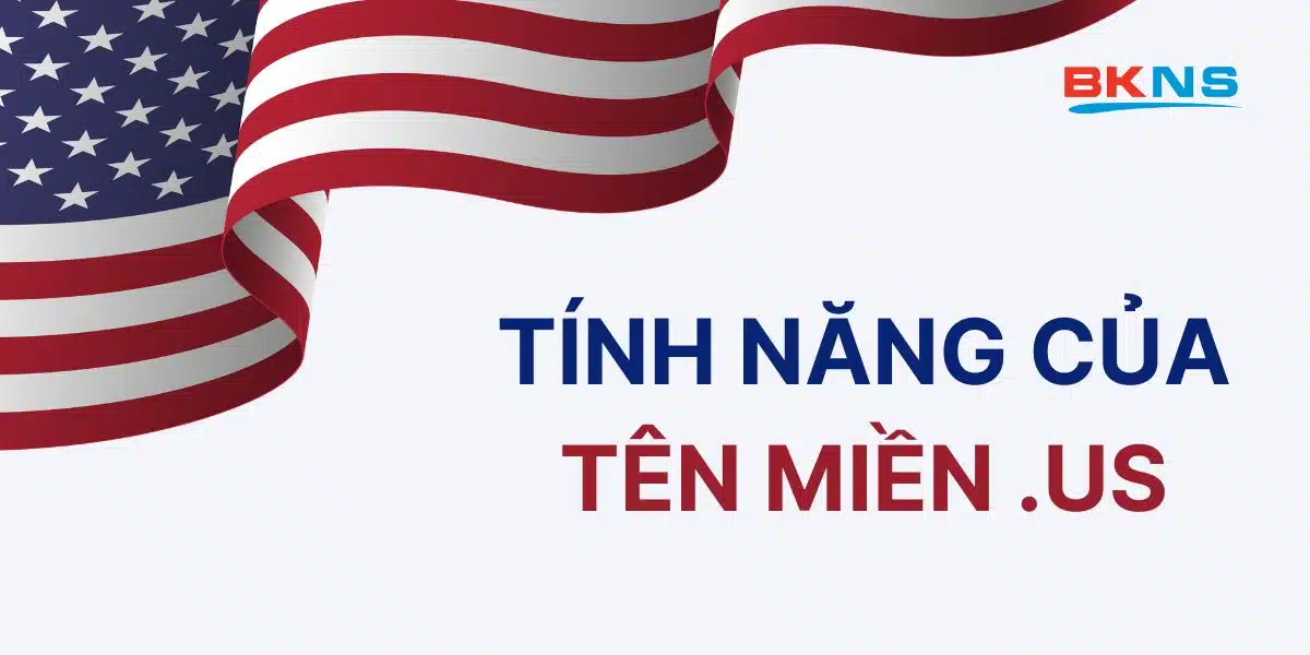 Tính năng của tên miền .US