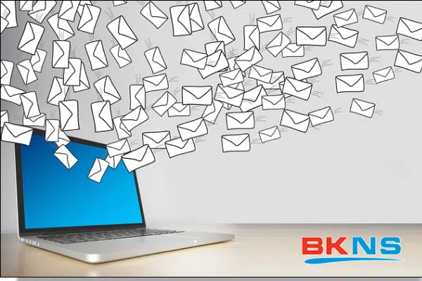 emailabusehomepage-bkns