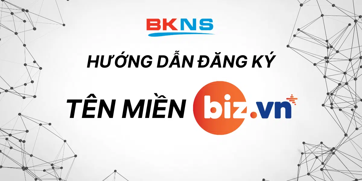 huong-dan-dang-ky-ten-mien-biz-vn-tai-bkns