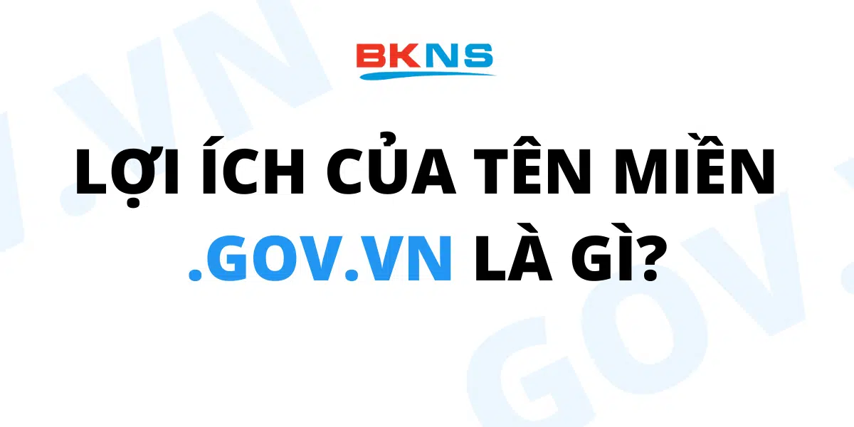 loi-ich-cua-ten-mien-gov-vn-la-gi