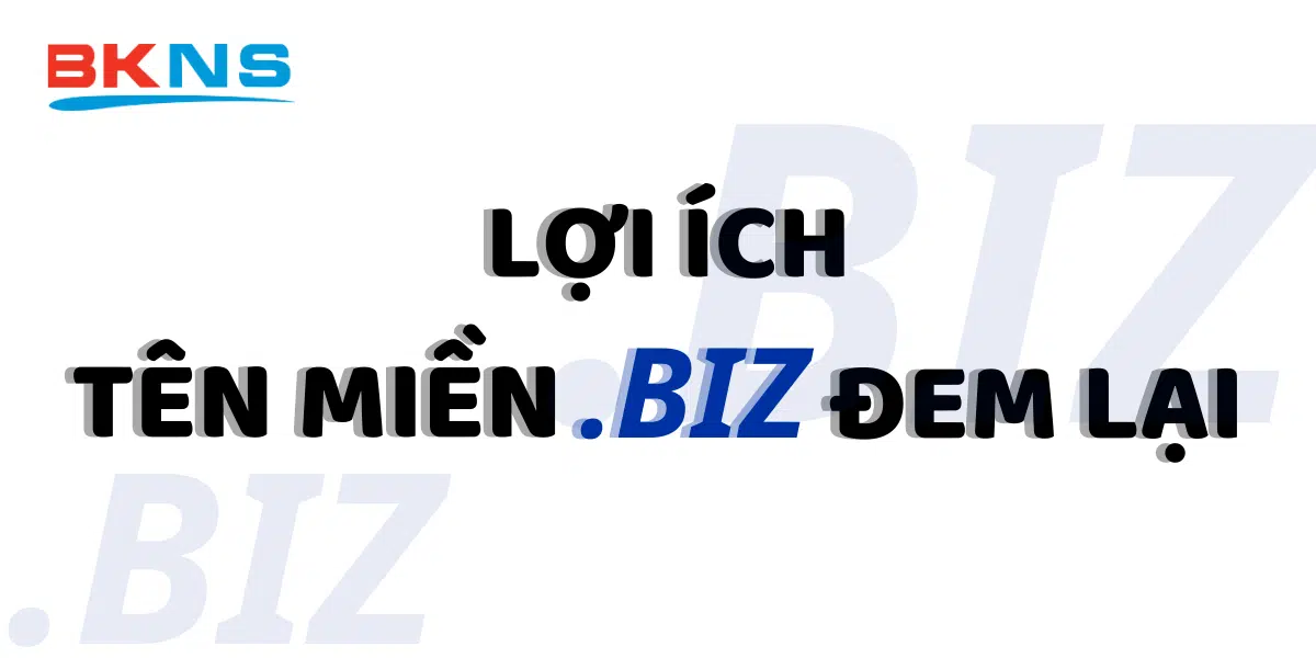 loi-ich-ten-mien-biz-dem-lai