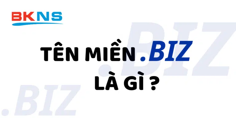 Tên Miền .BIZ Là Gì? Một Số Điều Bạn Cần Biết Về Tên Miền .BIZ