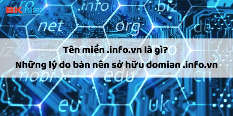 ten-mien-info-vn-la-gi