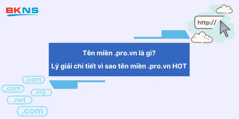 Tên miền .pro.vn là gì? Vì sao tên miền .pro.vn HOT?