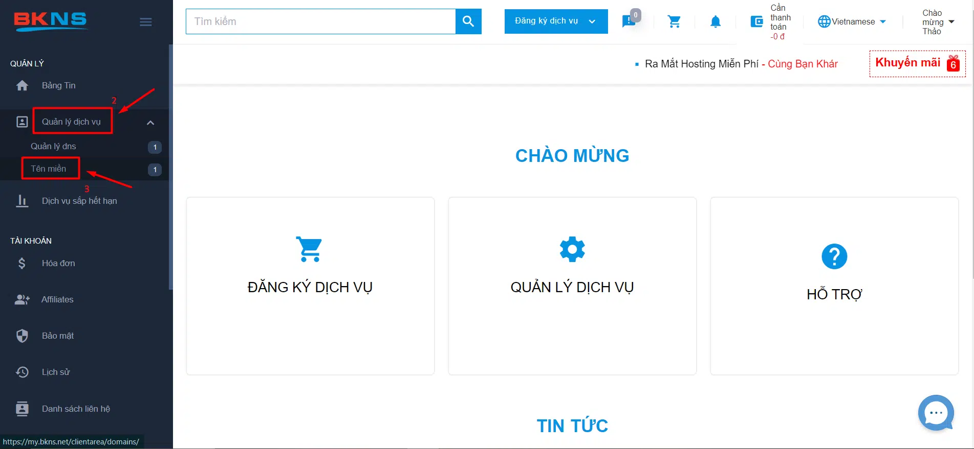 Chọn Quản lý dịch vụ Tên miền