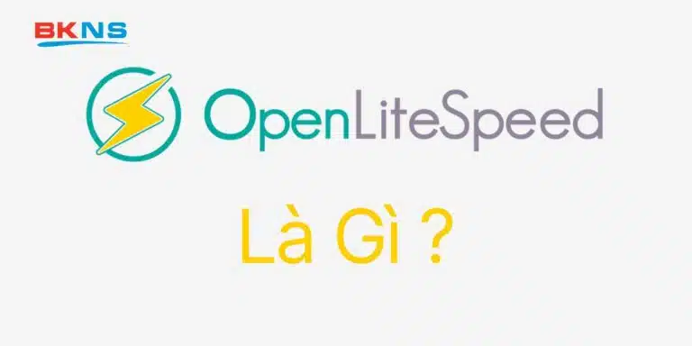 OpenLiteSpeed là gì? Hướng dẫn chi tiết A – Z về máy chủ web tốc độ cao